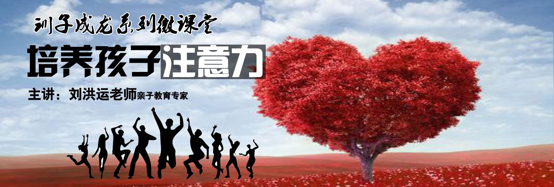 刘洪运老师训子成龙微课堂